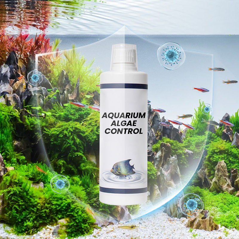 🔥Heißer Verkauf🔥Leistungsstarker Wasserklärer für Aquarien