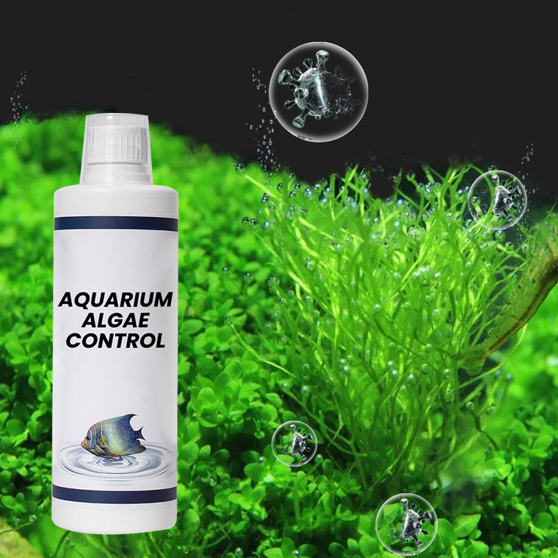 🔥Heißer Verkauf🔥Leistungsstarker Wasserklärer für Aquarien
