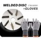 Labor-Saving Pig Hair Remover Scraper Disc