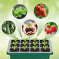 🔥50% discount while stocks last!🎉Seed starter trays with grow light