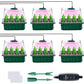 🔥50% discount while stocks last!🎉Seed starter trays with grow light