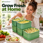 🌱 Stackable Bean Sprout Grower Box with Lid