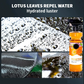 Nano Crystal Car Paint Coating Spray