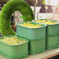 🌱 Stackable Bean Sprout Grower Box with Lid