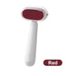 Double-Sided Foot Scraper For Callus Removal - 🎁 With Free Replacement Head