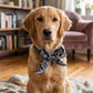 Summer Pet Cooling Collar Wrap