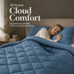 🛏️ Brushed Microfiber Comforter Set: Diamond Quilting, Moisture-Wicking, All-Season, 2 Pillowcases