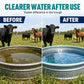 🥳🔥HOT SALE! Stock Tank Tablets – Fast-Dissolving, Easy Drop-In, Fresher Water for Farm Care