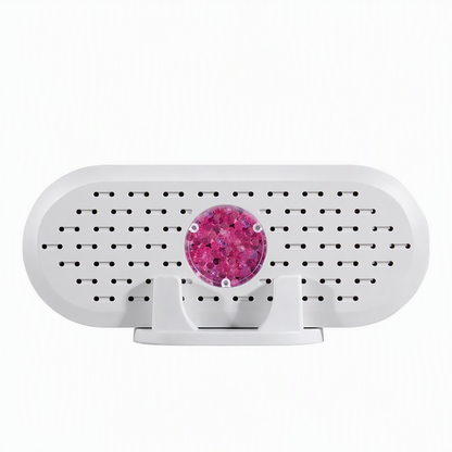 Mini Reusable Household Dehumidifier