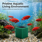 🥳2026 HOT SALE🥳💞50K+ SOLD! 🐠💧 50% OFF! Activated Carbon Filter Cube – honeycomb filtration clears cloudy water, removes odors. Anti-crumble block for crystal-clear aquarium! 🛡️✅