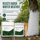 Tree Trunk Whitewash Protective Set 300g with Brush for Frost and Insect Protection on Roadside Trees